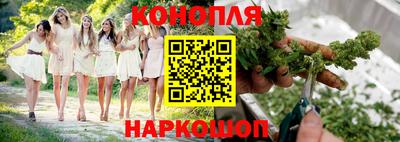 прущие крисы Железногорск