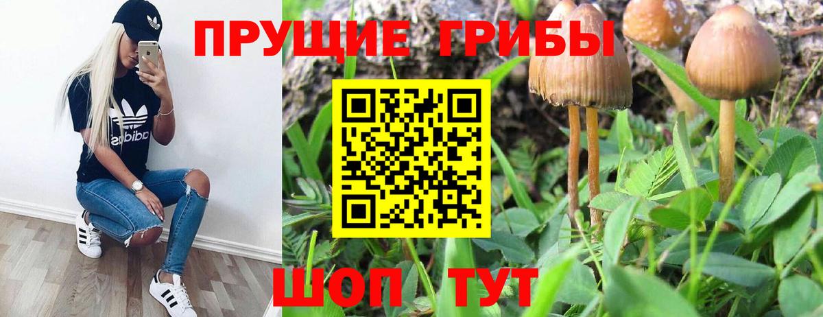 Рубцовск  Псилоцибиновые грибы Magic Shrooms  Вход с VPN  Галлюциногенные грибы Psilocybine cubensis 